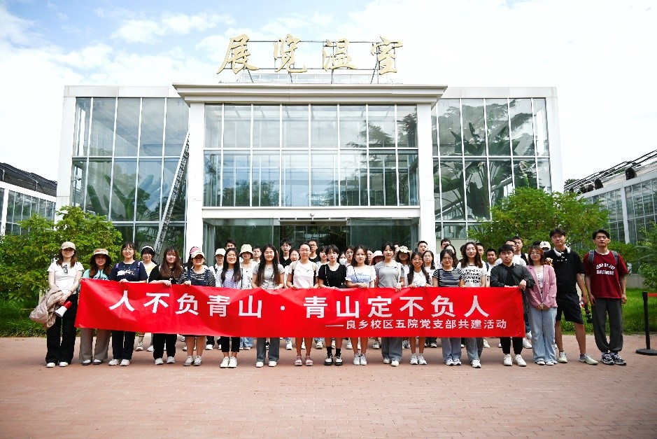 新澳门六合彩直播