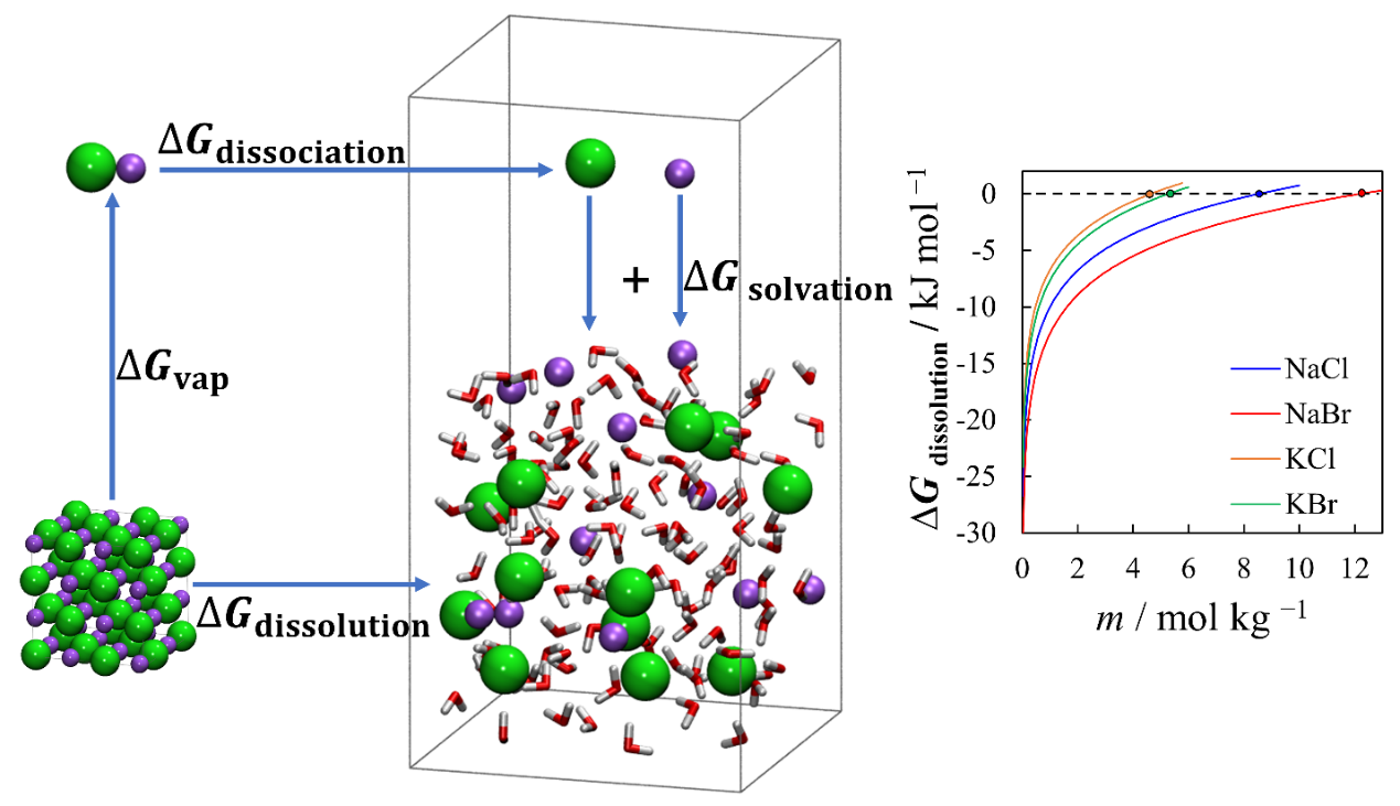 新澳门六合彩直播