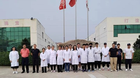 新澳门六合彩直播