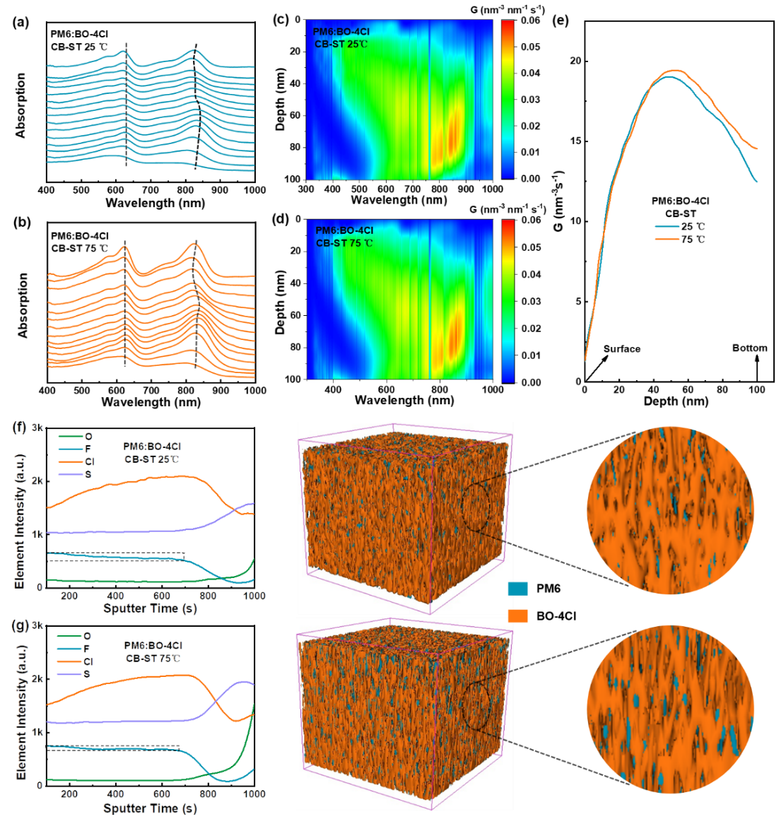 新澳门六合彩直播