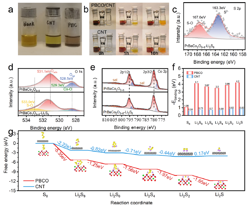 新澳门六合彩直播