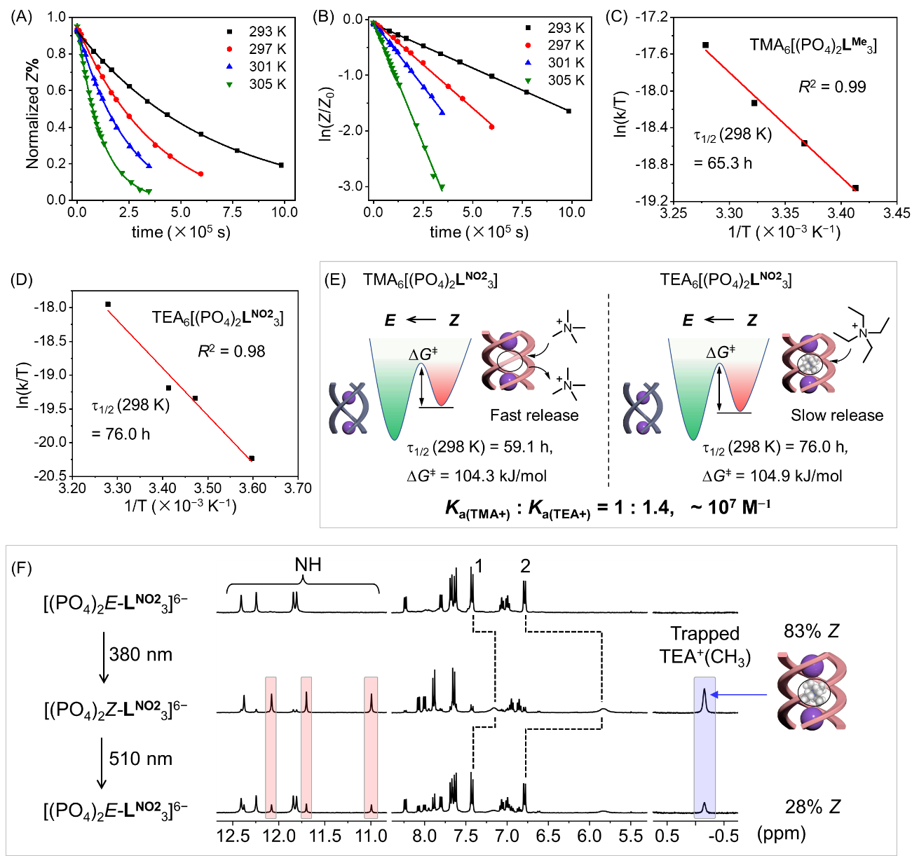 新澳门六合彩直播