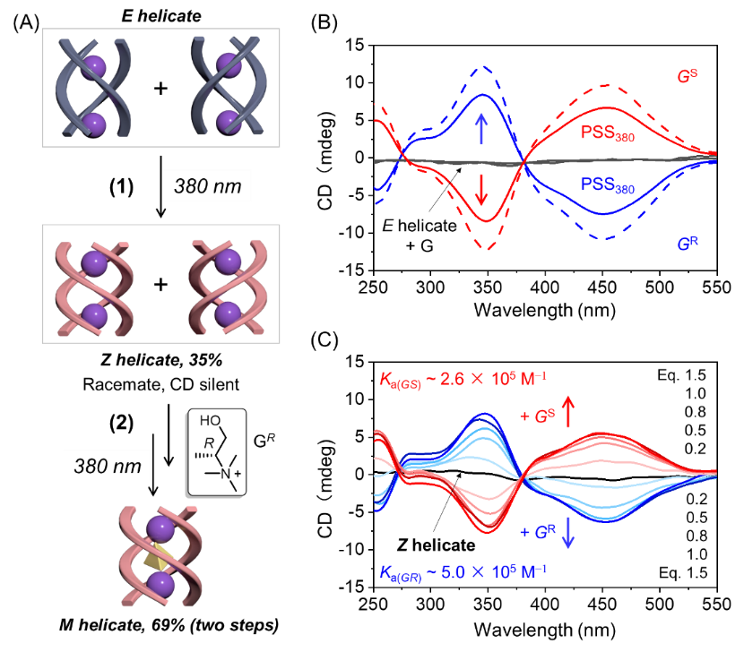 新澳门六合彩直播