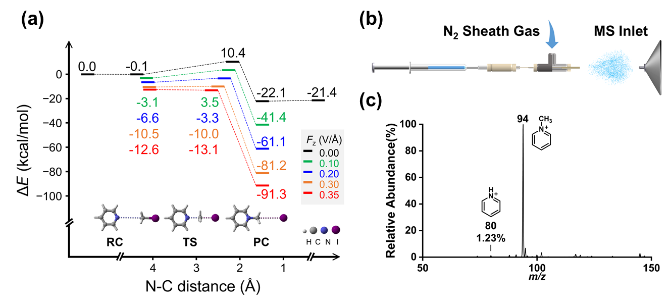 新澳门六合彩直播