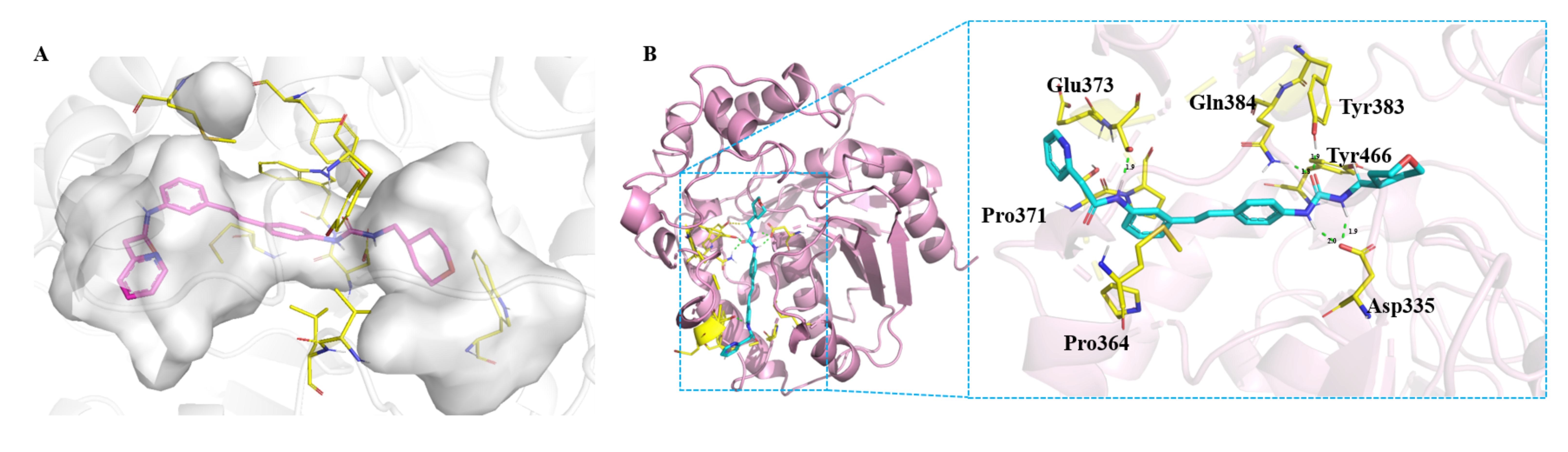新澳门六合彩直播