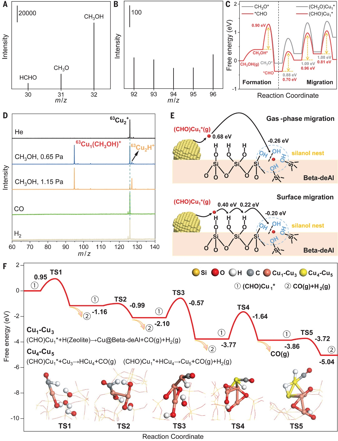 新澳门六合彩直播
