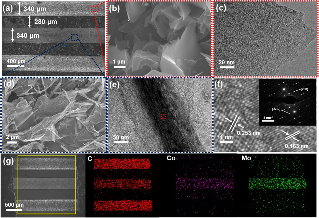 新澳门六合彩直播