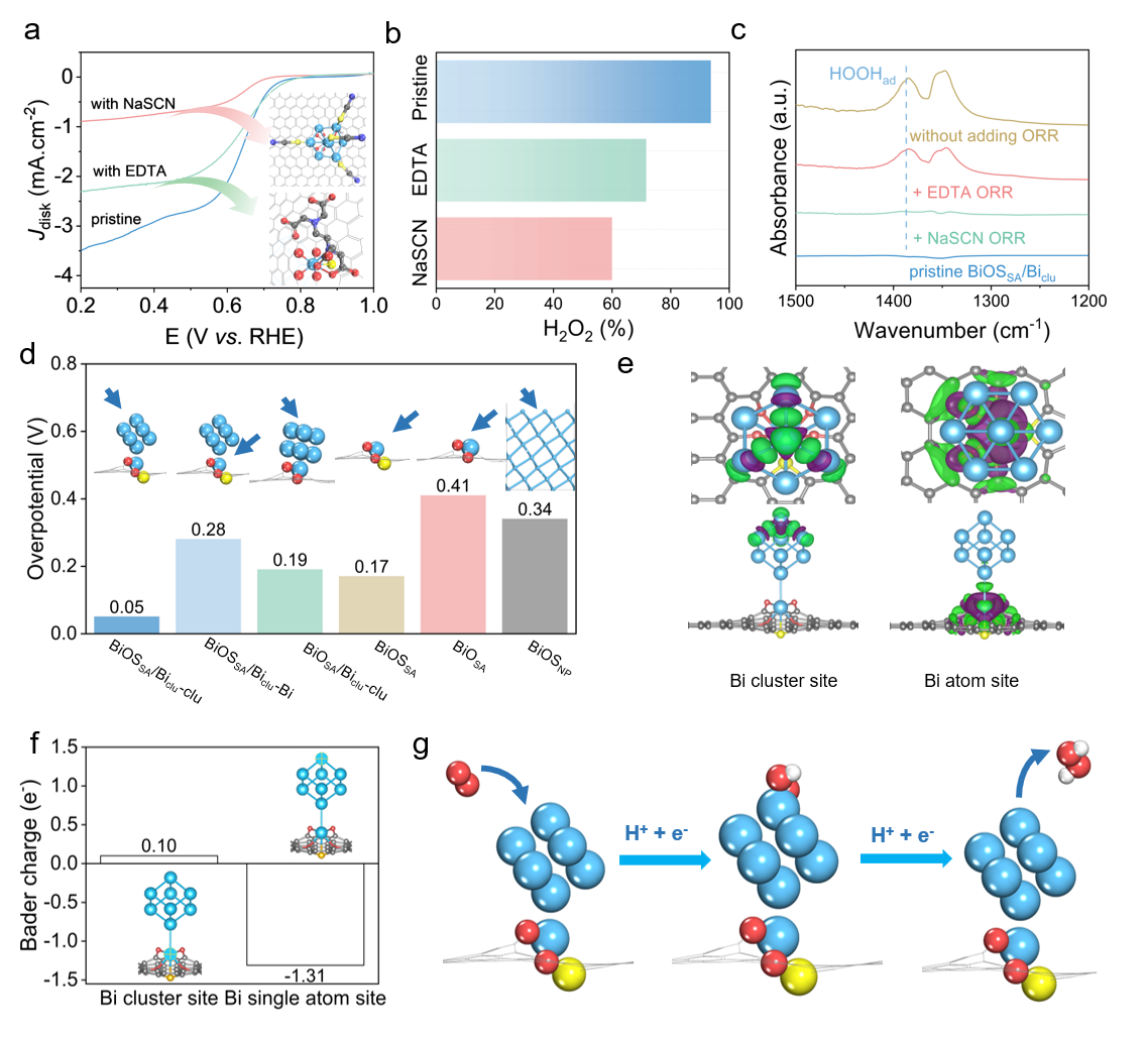 新澳门六合彩直播