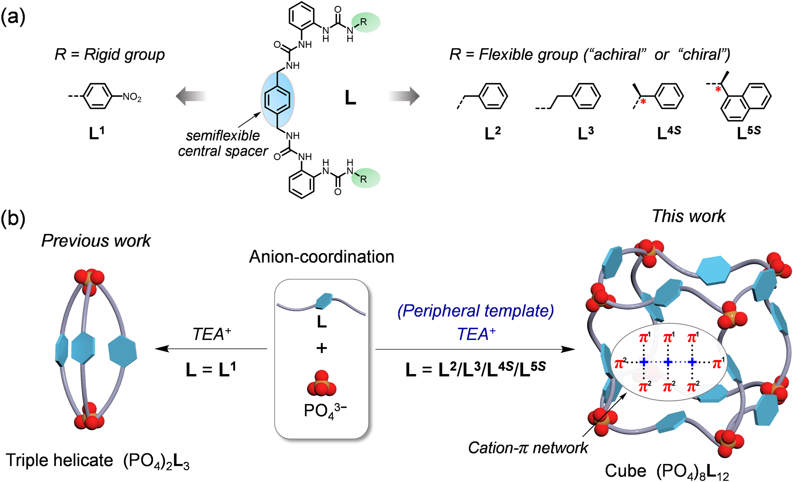新澳门六合彩直播