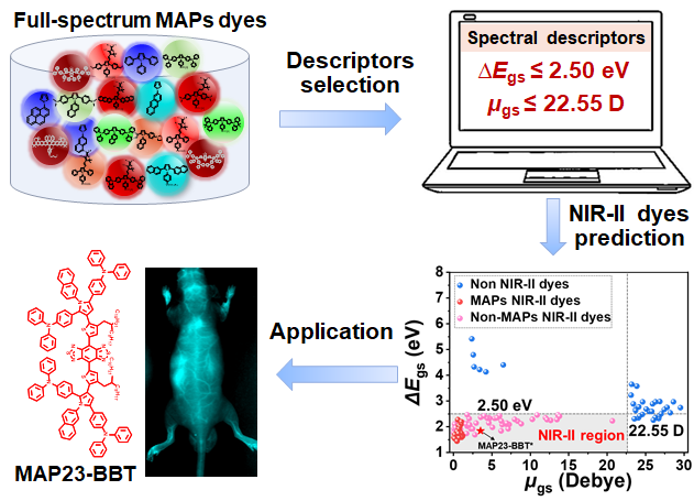 新澳门六合彩直播