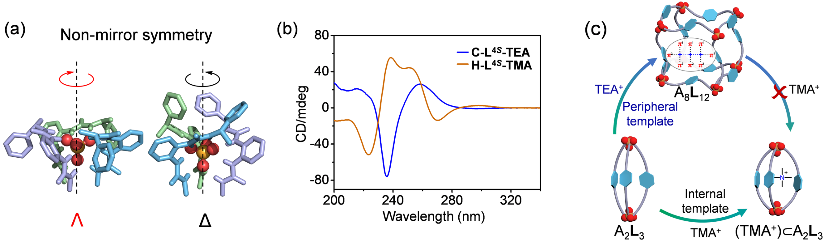 新澳门六合彩直播