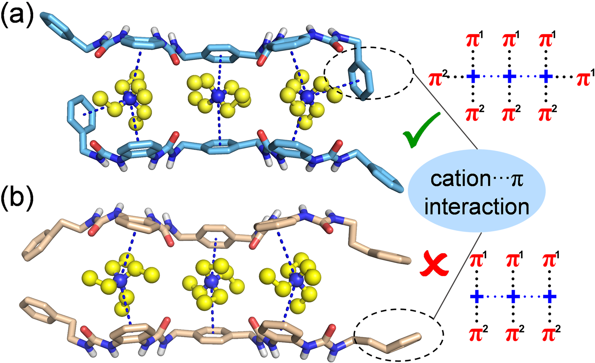 新澳门六合彩直播