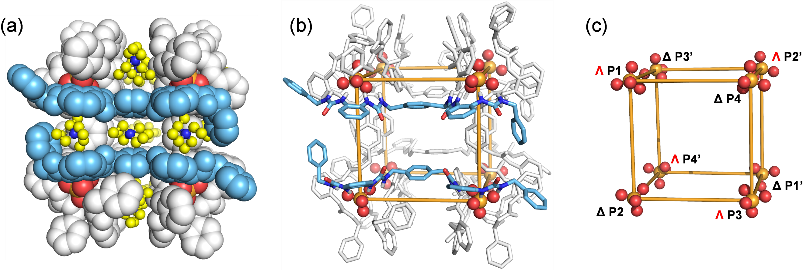 新澳门六合彩直播