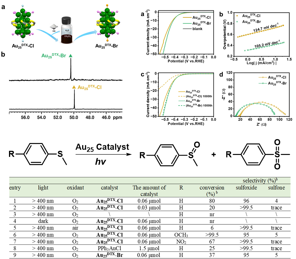 新澳门六合彩直播