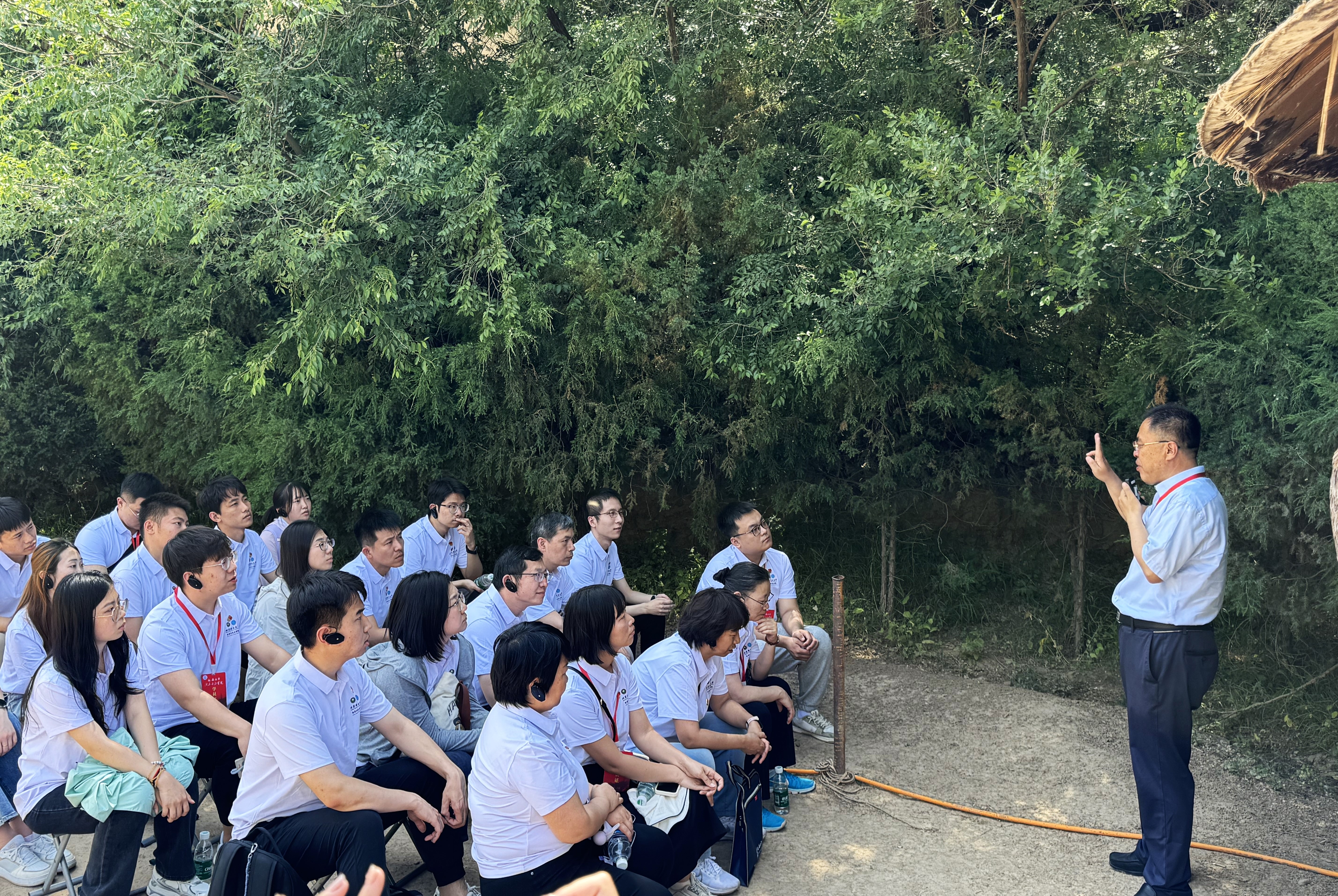 新澳门六合彩直播