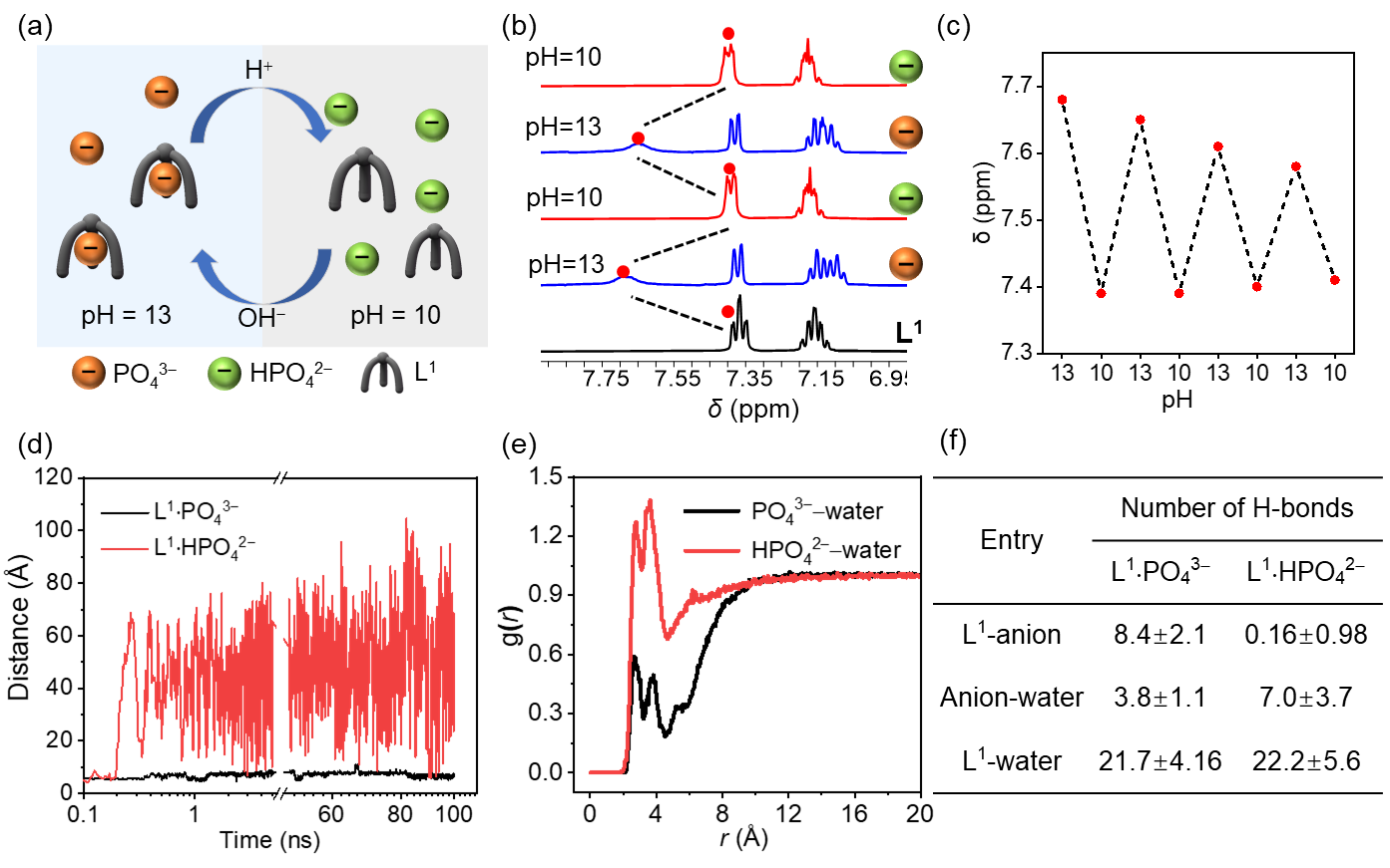 新澳门六合彩直播