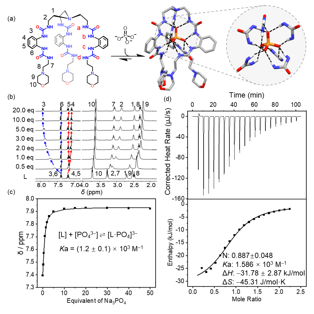 新澳门六合彩直播