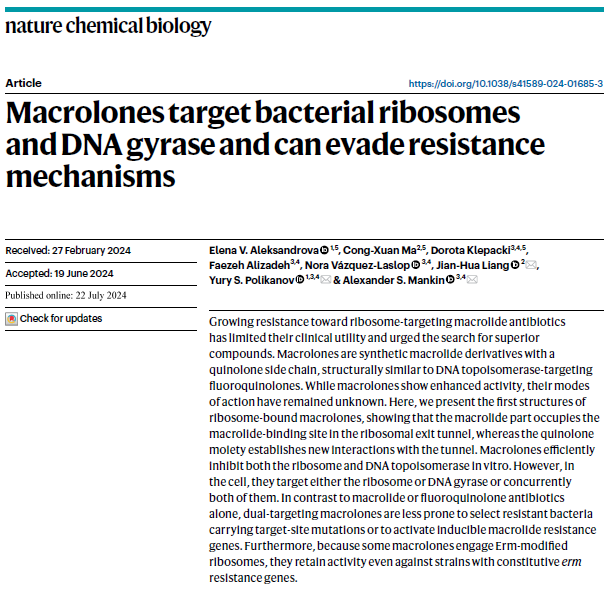 新澳门六合彩直播