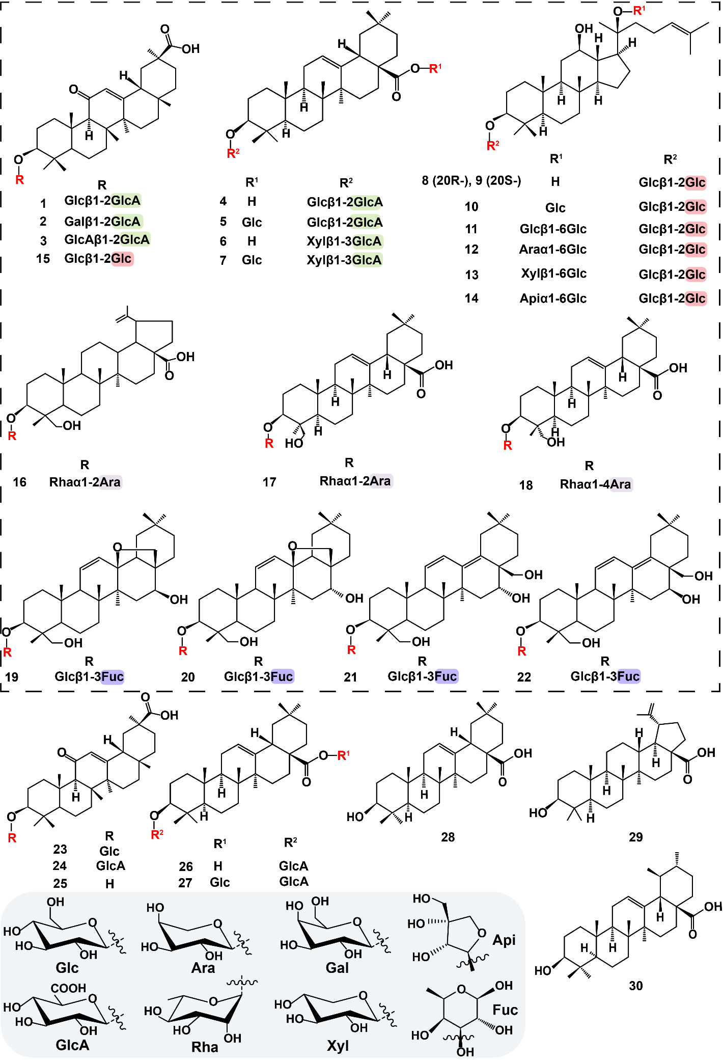 新澳门六合彩直播