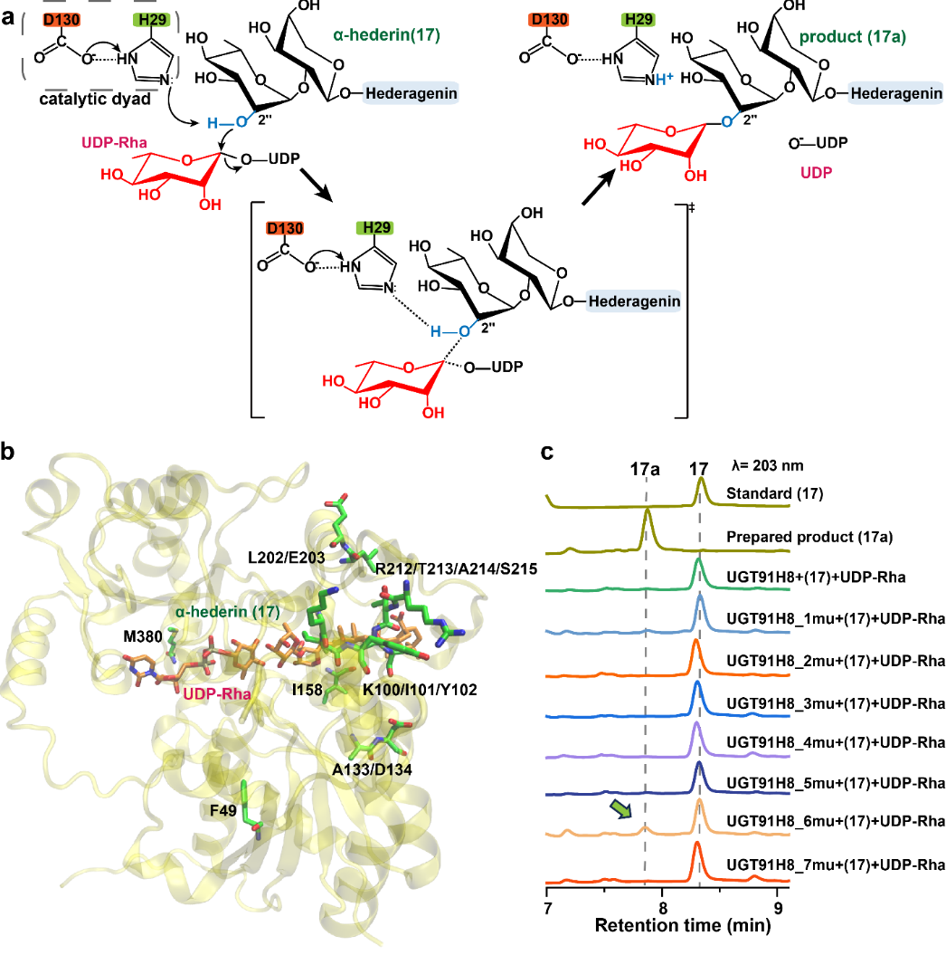 新澳门六合彩直播