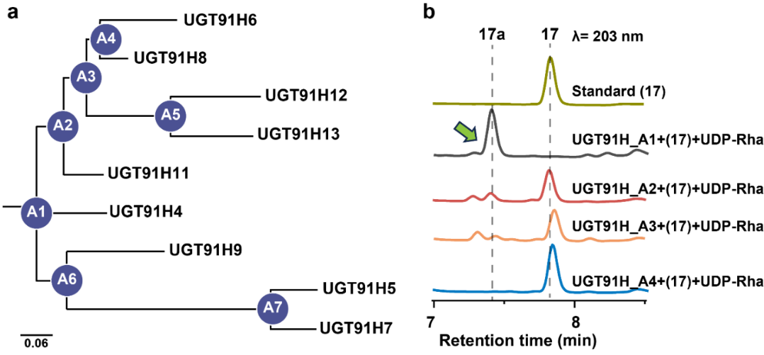 新澳门六合彩直播