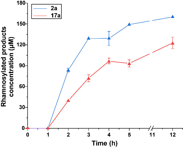 新澳门六合彩直播