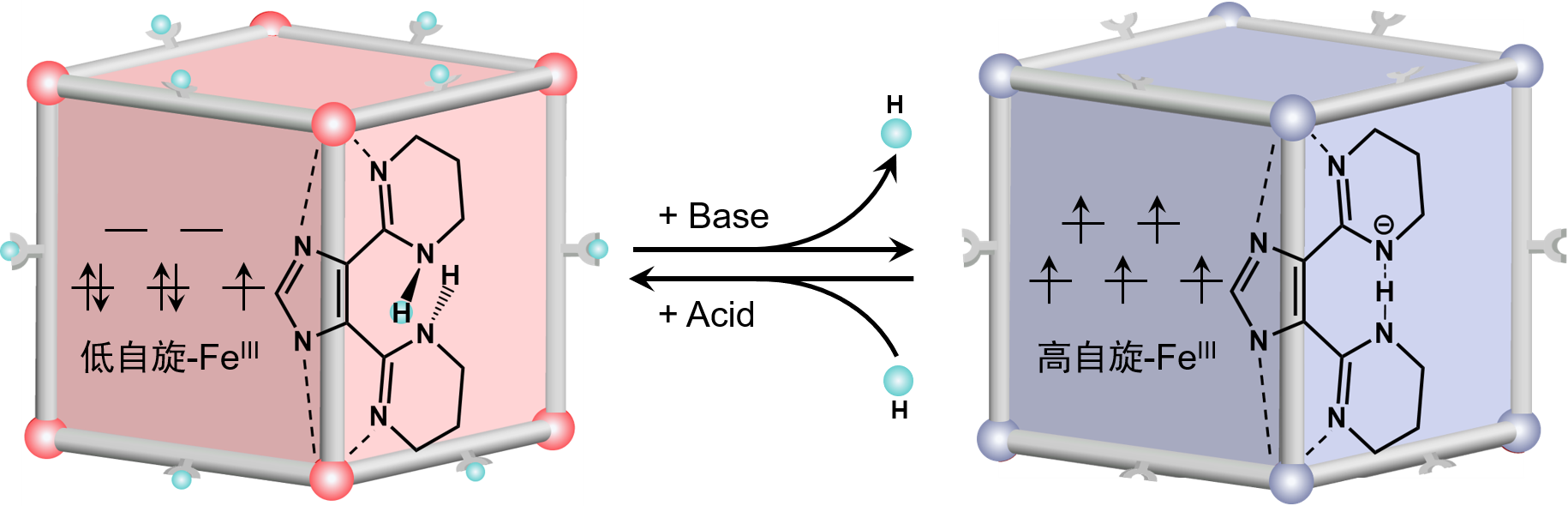 新澳门六合彩直播