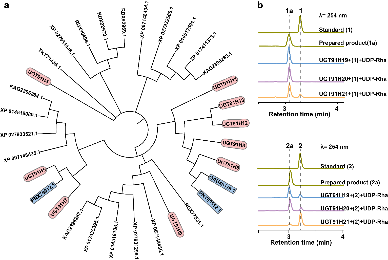 新澳门六合彩直播