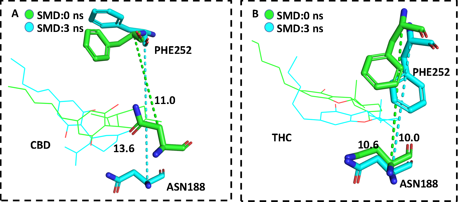 新澳门六合彩直播