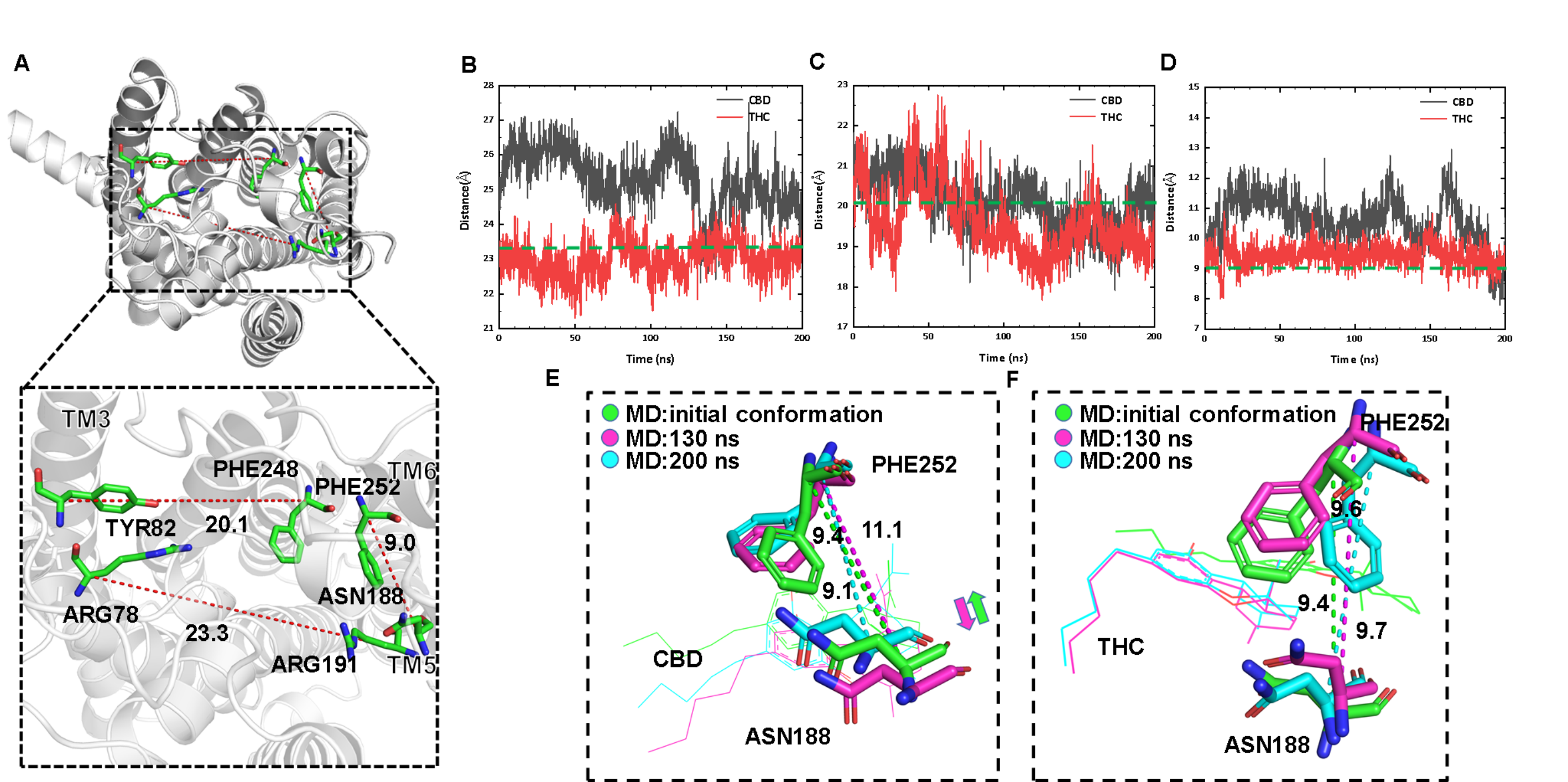 新澳门六合彩直播