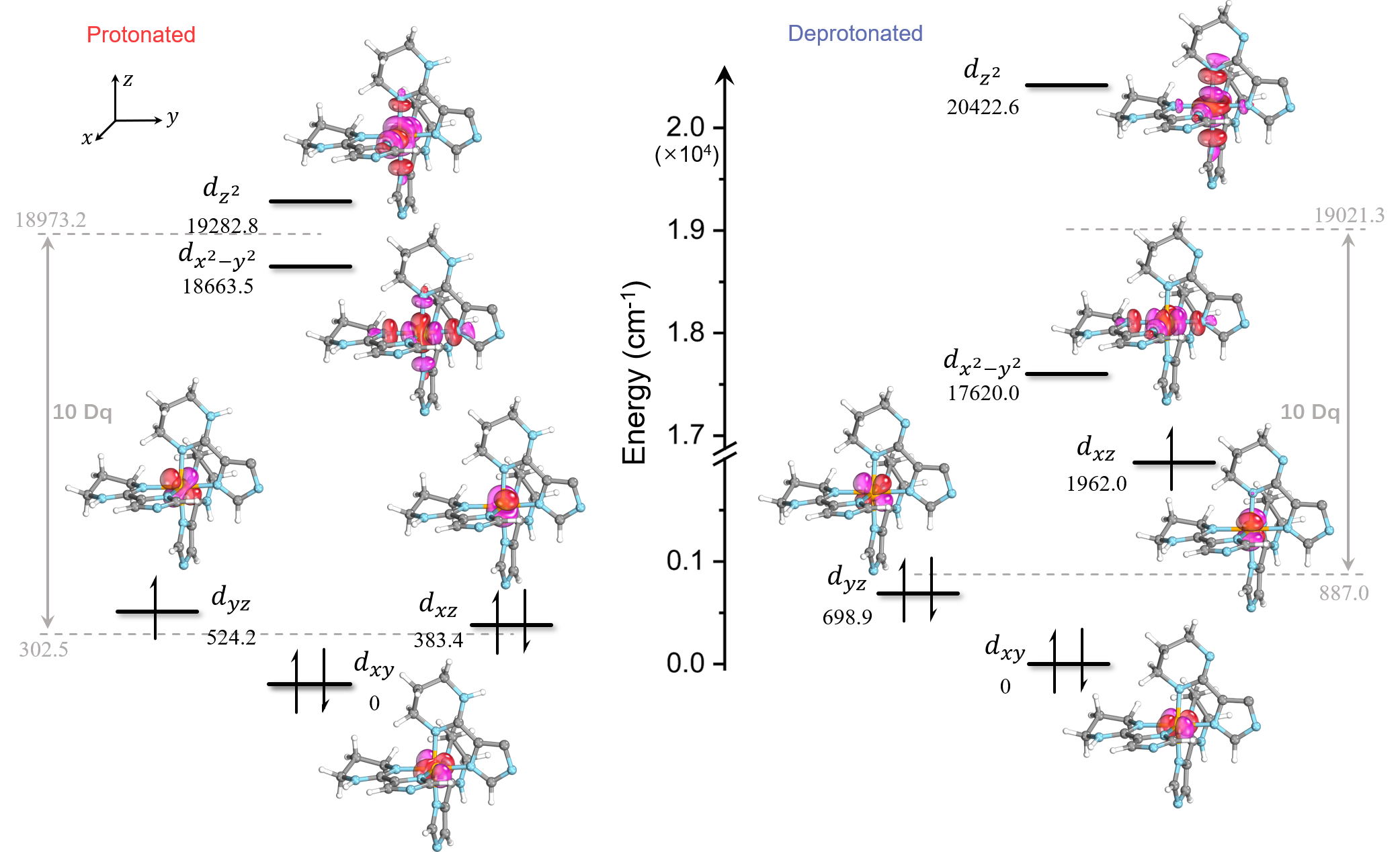新澳门六合彩直播