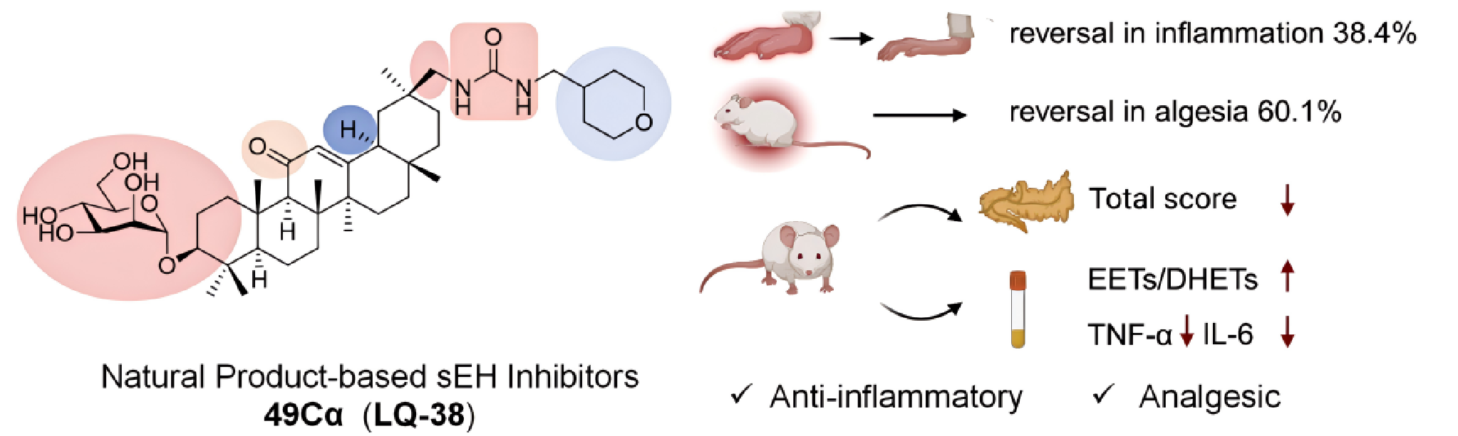 新澳门六合彩直播