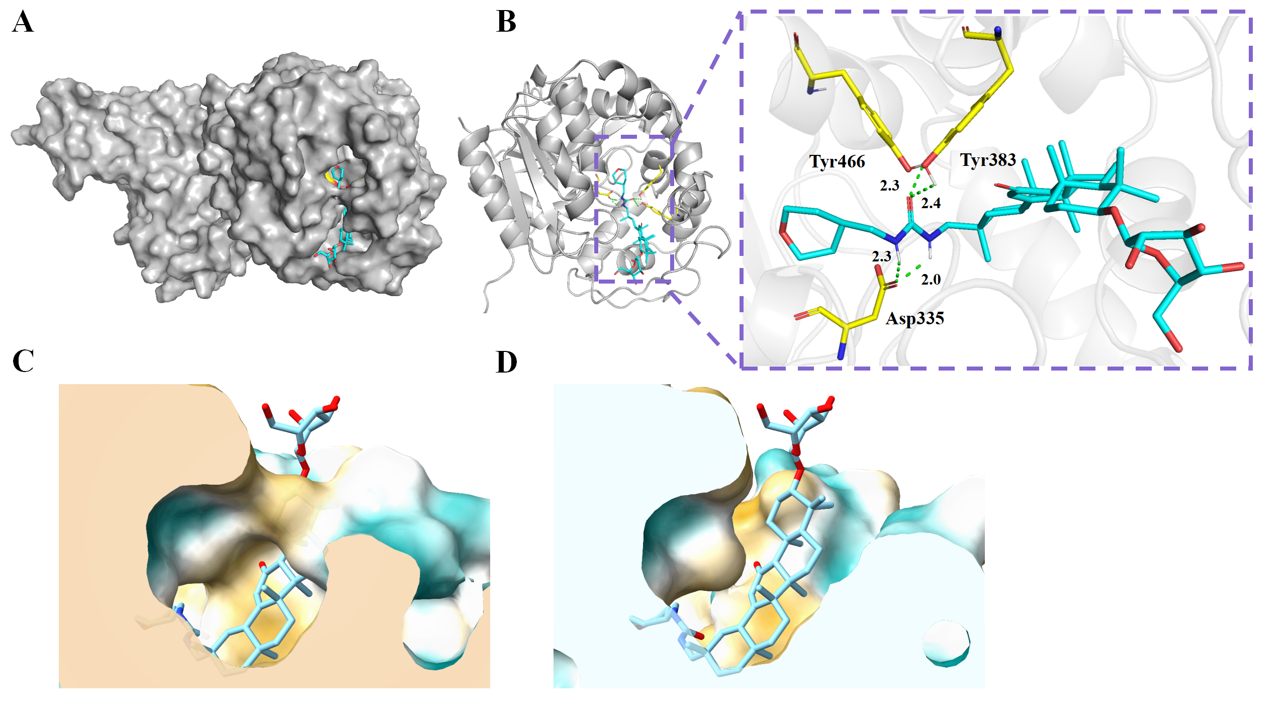新澳门六合彩直播
