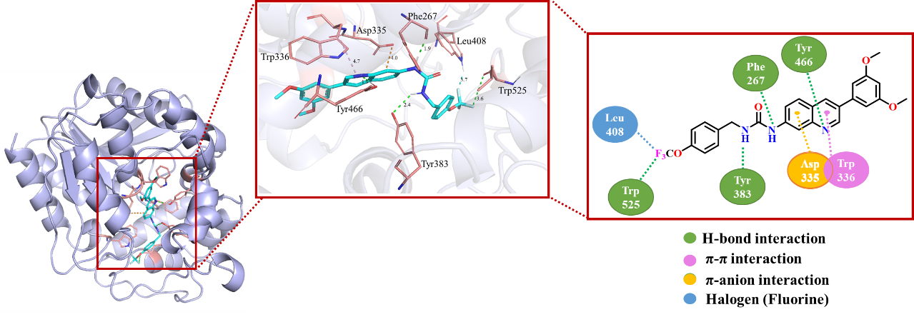 新澳门六合彩直播