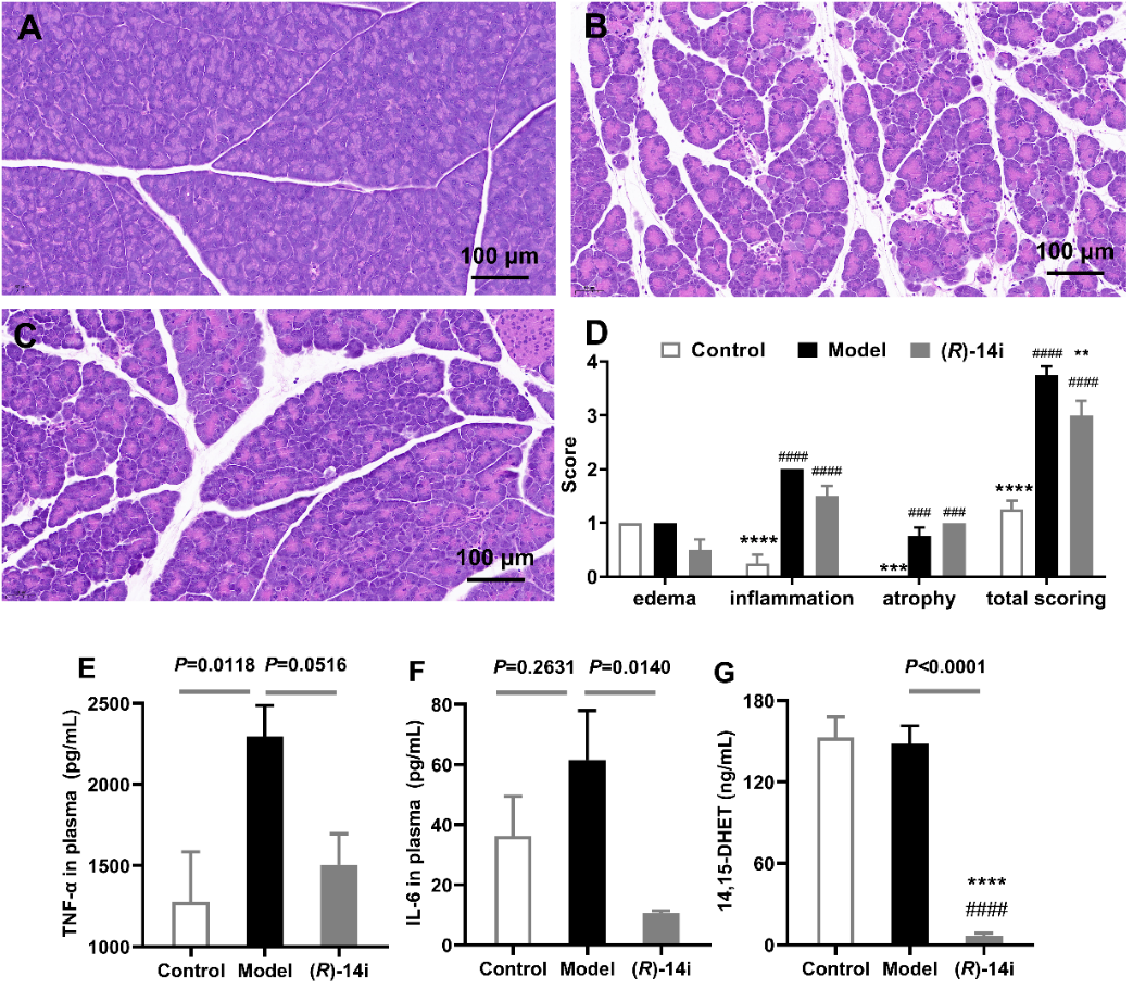 新澳门六合彩直播