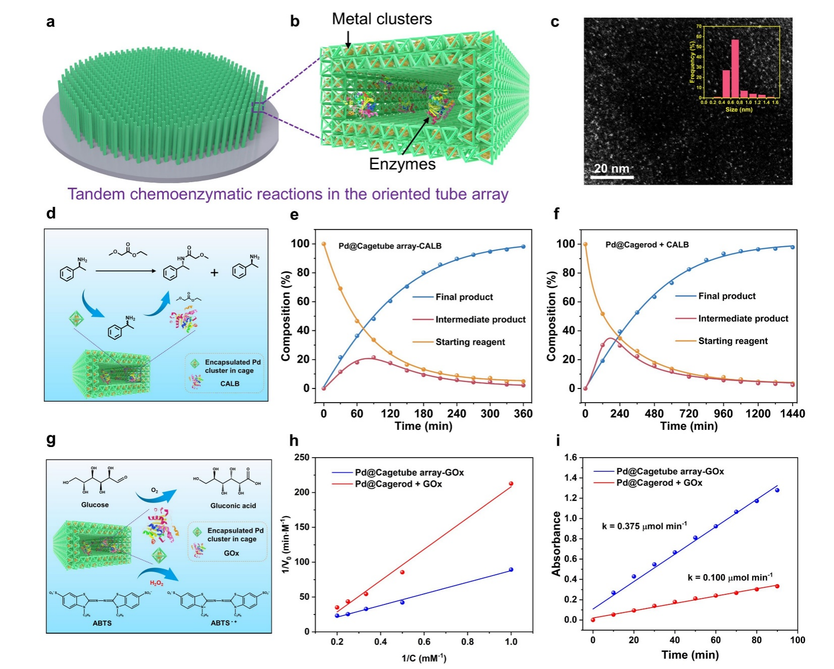 新澳门六合彩直播