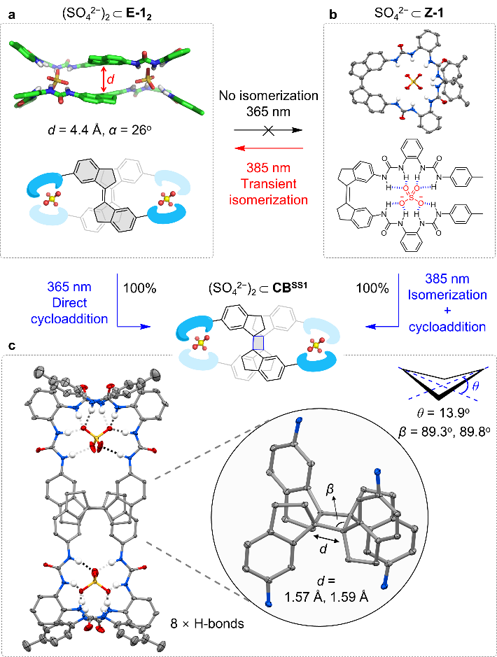 新澳门六合彩直播