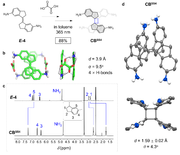 新澳门六合彩直播