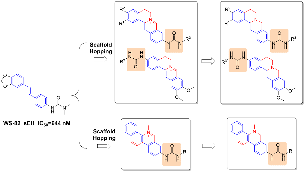 新澳门六合彩直播