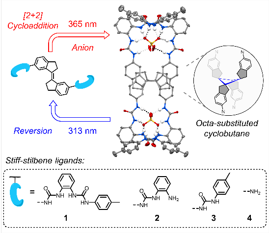 新澳门六合彩直播