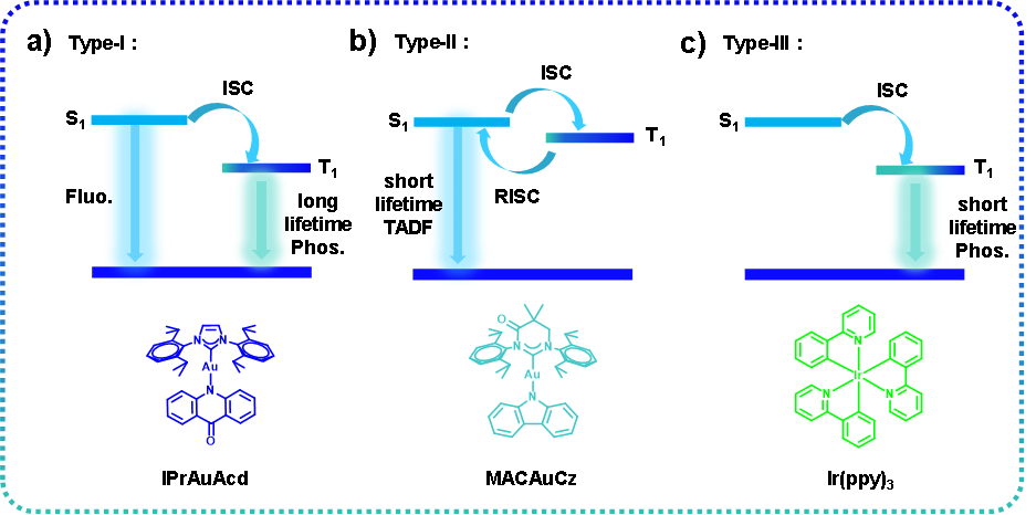 新澳门六合彩直播
