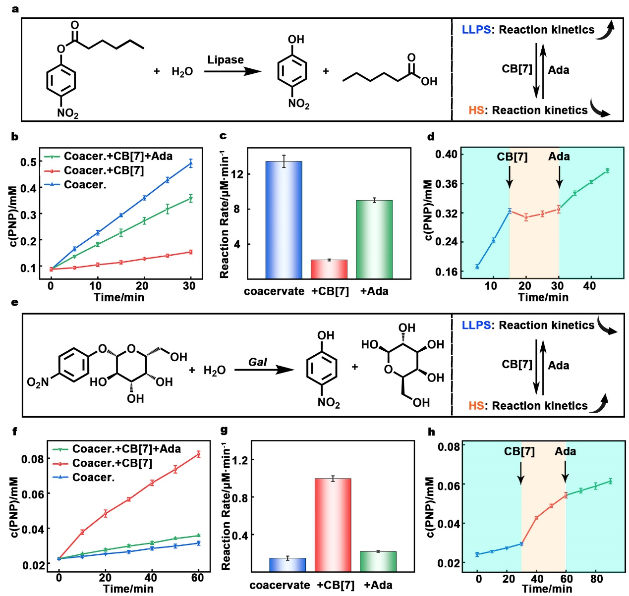 新澳门六合彩直播