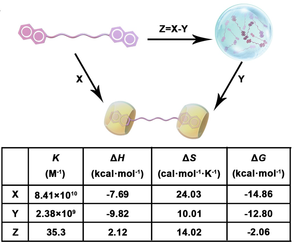 新澳门六合彩直播