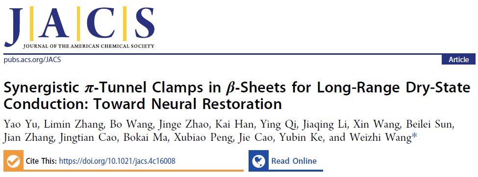 新澳门六合彩直播