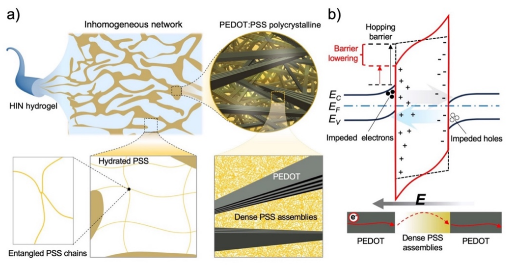 新澳门六合彩直播