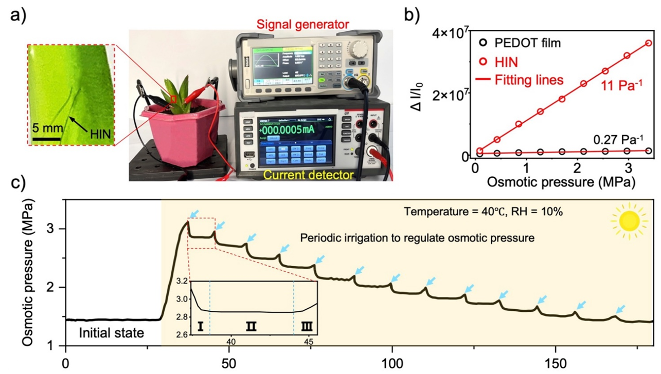 新澳门六合彩直播