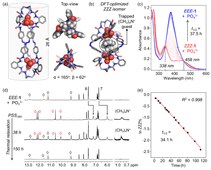 新澳门六合彩直播