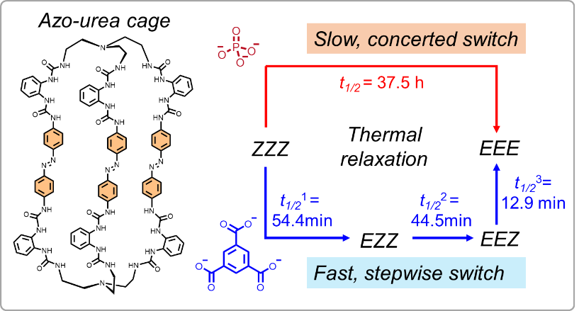 新澳门六合彩直播