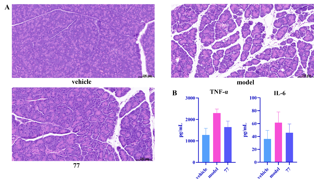 新澳门六合彩直播