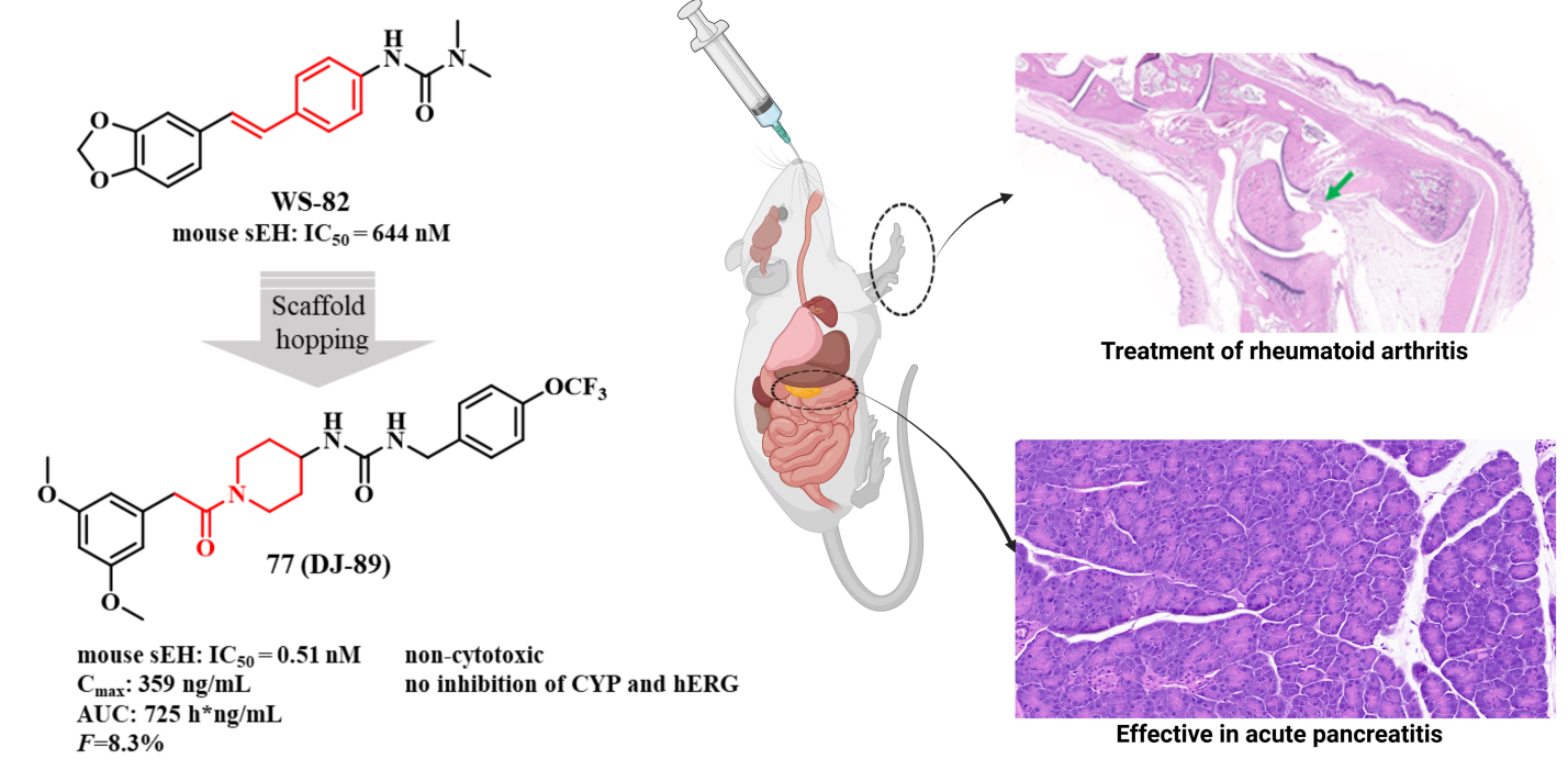 新澳门六合彩直播